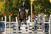 IMG_0206