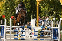 IMG_0207