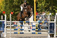 IMG_0208