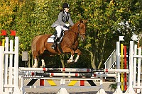 IMG_0239
