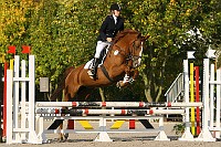 IMG_0243