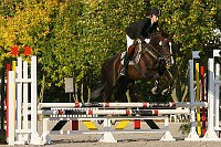 IMG_0247