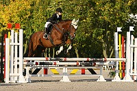IMG_0251