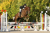 IMG_0259