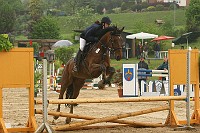 IMG_0004