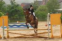 IMG_0006