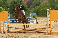 IMG_0010