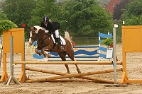 IMG_0012