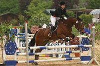 IMG_0019