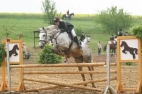IMG_0006