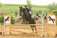 IMG_0008