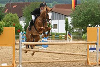 IMG_0036