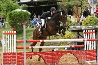 IMG_0037