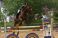 IMG_0058
