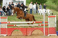 IMG_0042