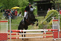 IMG_0017