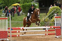 IMG_0020