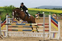 IMG_0017