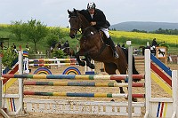 IMG_0019