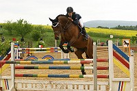 IMG_0029