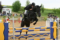 IMG_0003