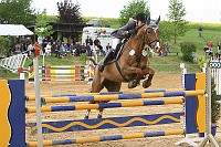 IMG_0031