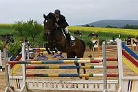 IMG_0042