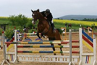 IMG_0045