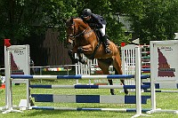 IMG_0061