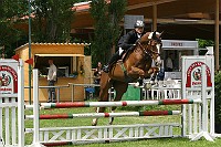 IMG_0062