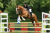 IMG_0044