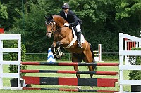 IMG_0011