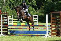 IMG_0048
