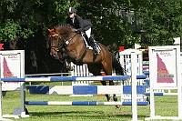IMG_0006