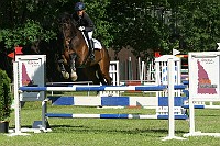 IMG_0010