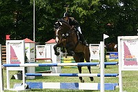 IMG_0037