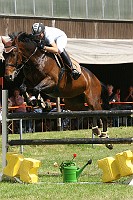 IMG_0016
