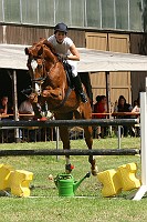 IMG_0028
