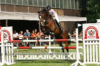 IMG_0017