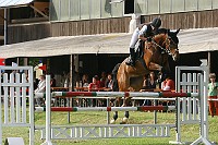 IMG_0031