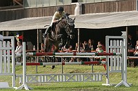 IMG_0037