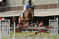 IMG_0045