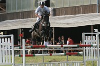 IMG_0004