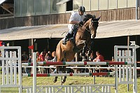 IMG_0017