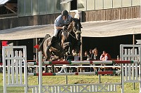 IMG_0019