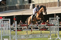 IMG_0029