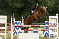 IMG_0011