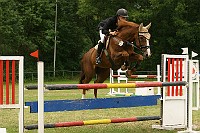 IMG_0050