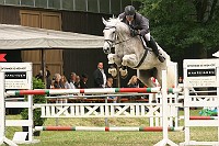 IMG_0006