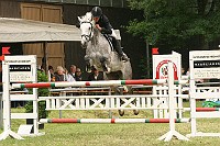 IMG_0017